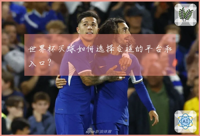 世界杯买球如何选择合适的平台和入口？