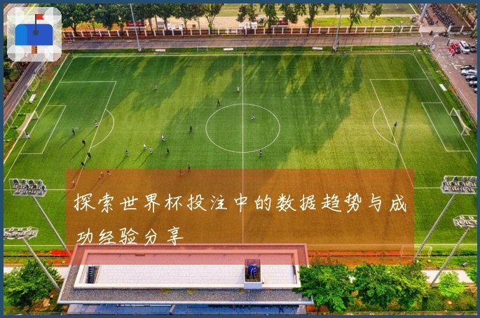 探索世界杯投注中的数据趋势与成功经验分享