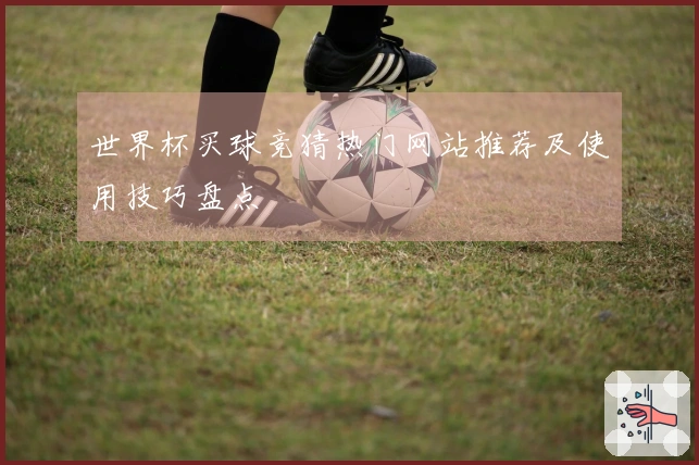 世界杯买球竞猜热门网站推荐及使用技巧盘点